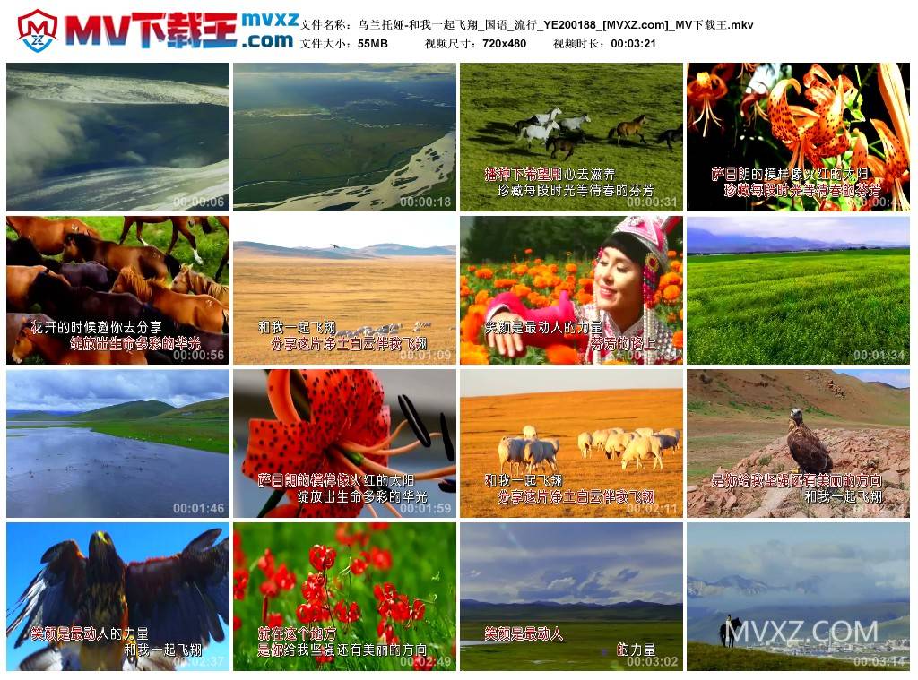 乌兰托娅-和我一起飞翔_国语_流行_YE200188